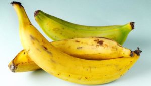 Plantain | Healthy Food